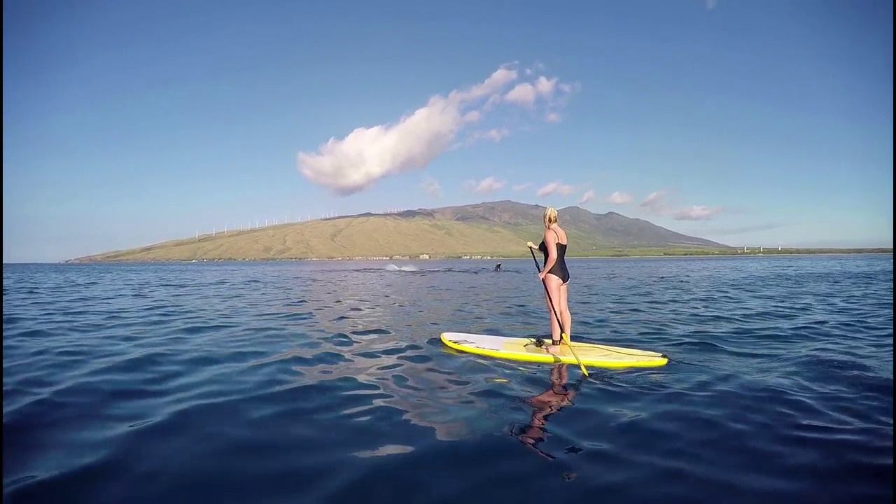 Maui Stand Up Paddle Boarding Lessons Maui Surf Lessons